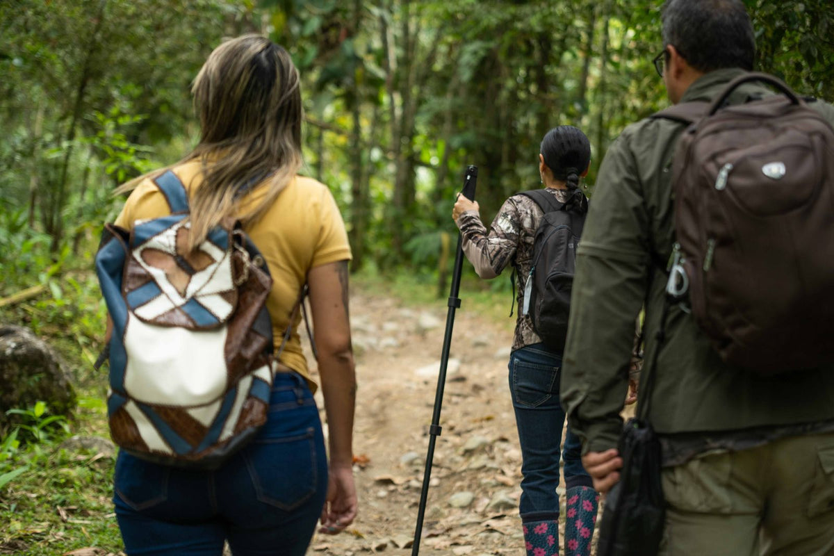 Hikers with backpacks walking along a forest trail