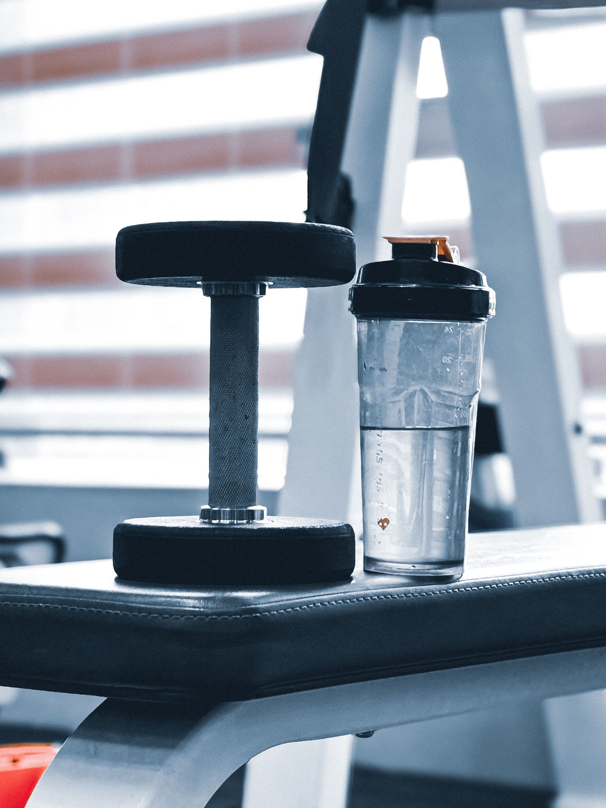 Water bottle and dumbbell on a gym bench