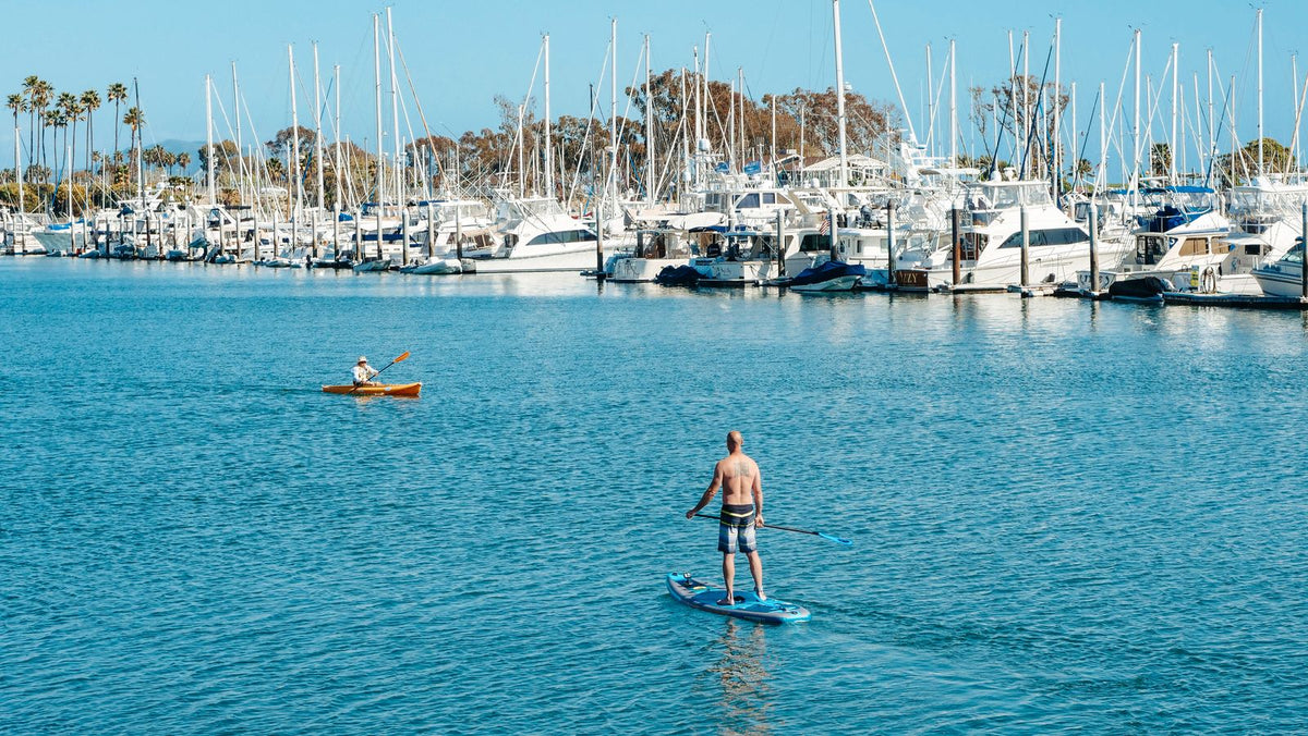 People kayaking and paddleboarding in a marina