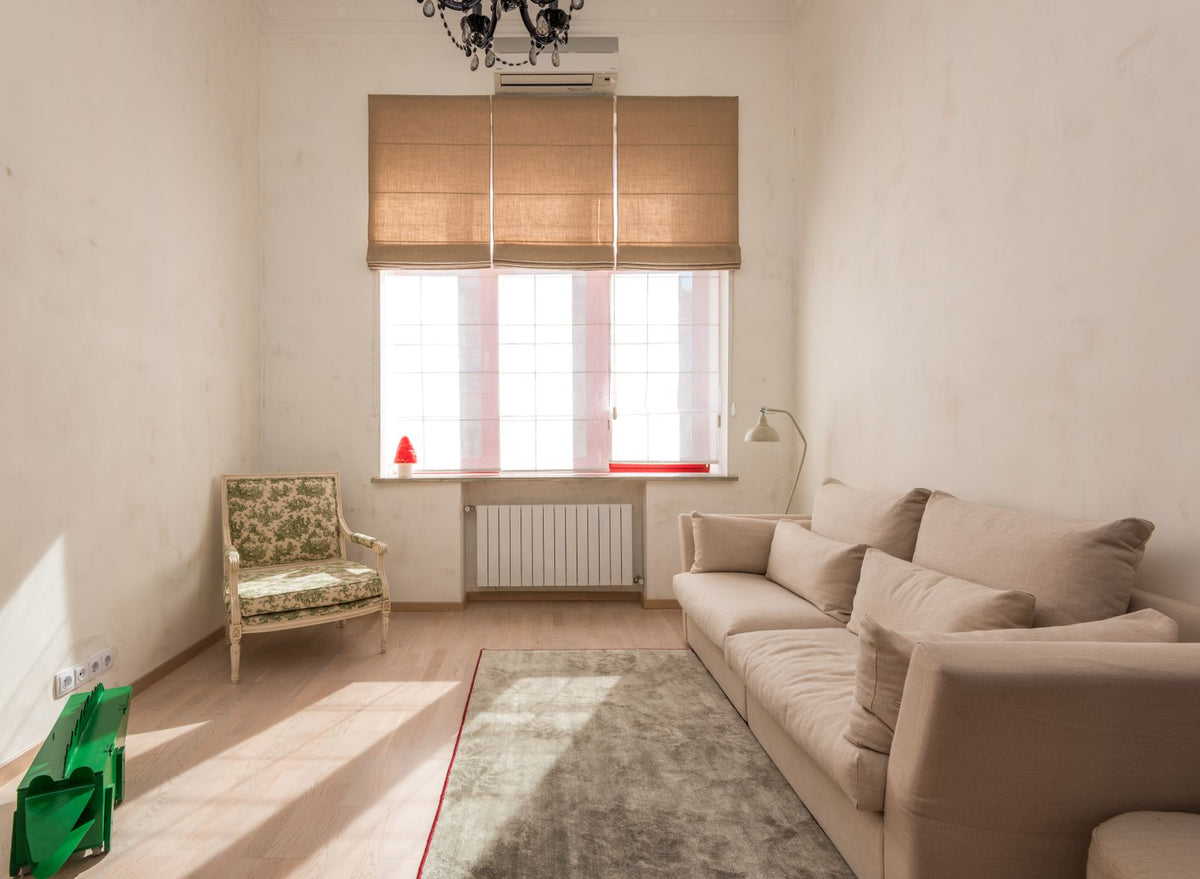 Sofa and armchair in a bright living room